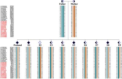 Case report: Successful PGT-M based on the identification of a spliceogenic variant in the RPGRIP1L gene through Minigene assay